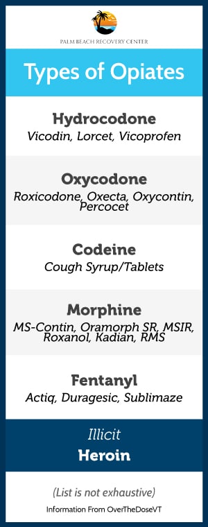 types of opiods